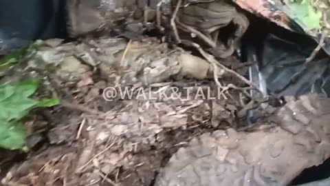 Ukrainian soldier