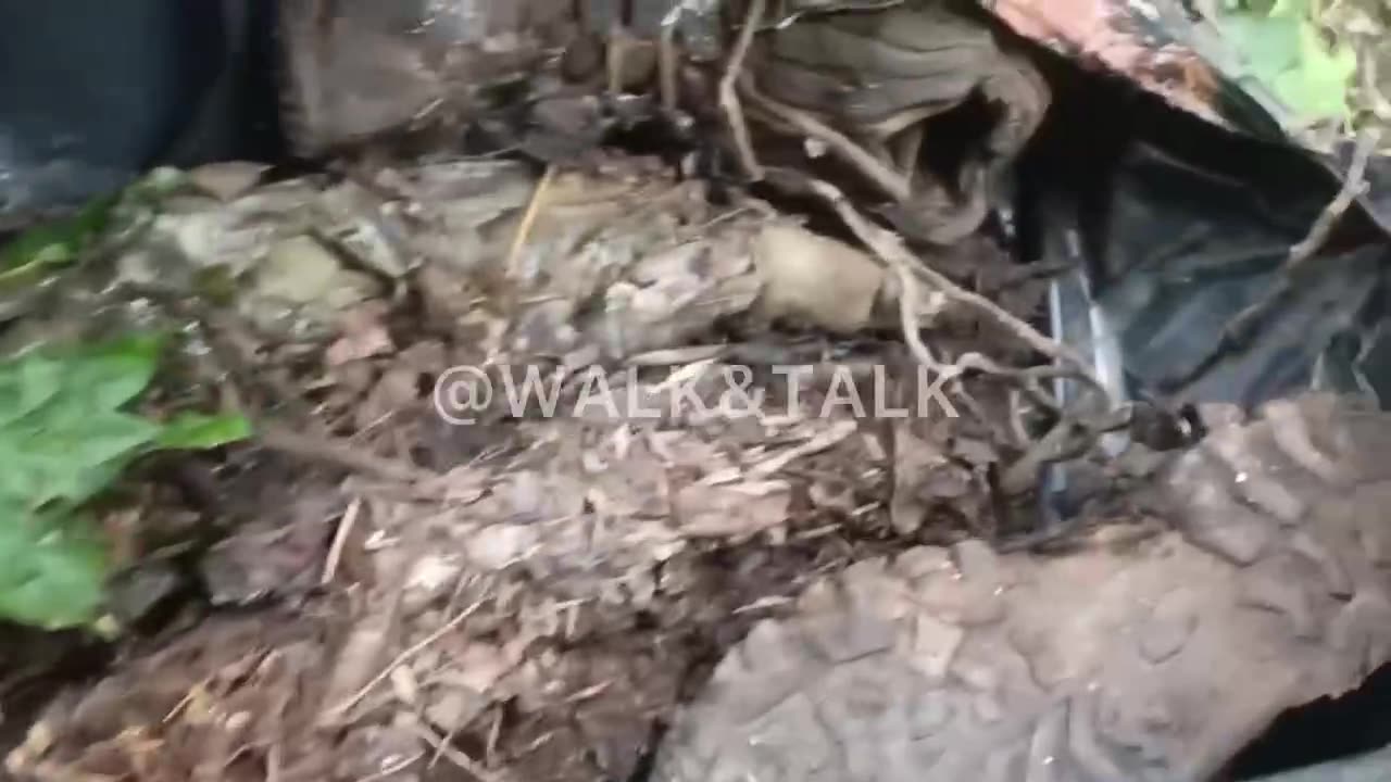 Ukrainian soldier