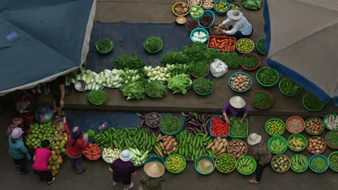 Aerial Vegetable Market Scene | Realistic 2K Background