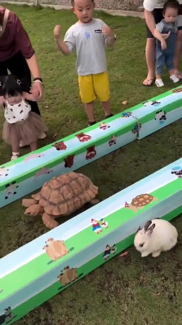 The fable of the rabbit and the tortoise has been tested in real life. 😂