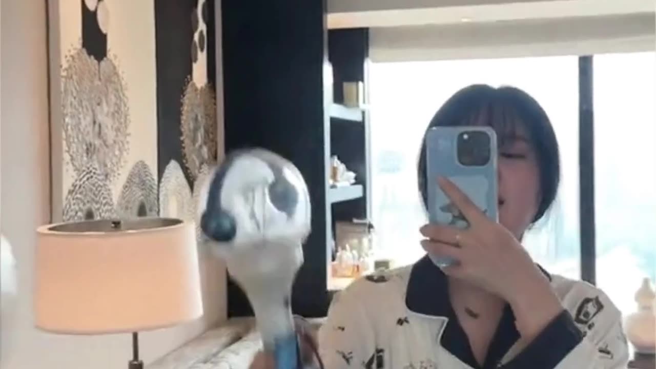 Daily Life Vlog Short Clip Series Part 177 📷📷📷