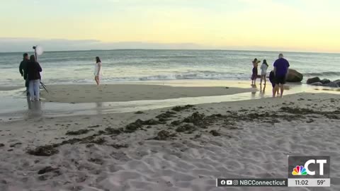 Impact of Hurricane Erin felt along the Connection shoreline