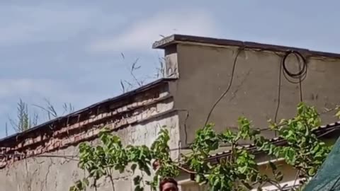 🚨💪 Ukraine Russia War | Woman Threatens TCC Personnel in Odesa | RCF