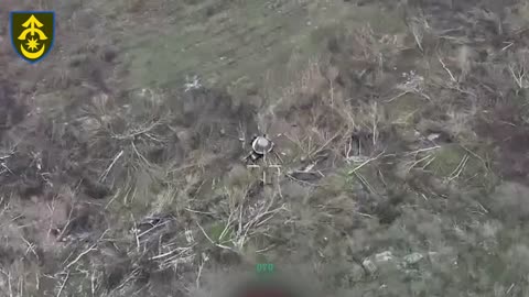 The 31st Brigade claims that south of Zaporizhzhia, the enemy has begun launching