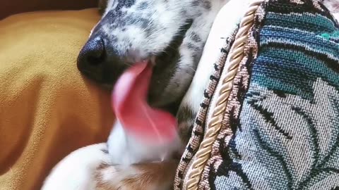 How He Beats the Heat