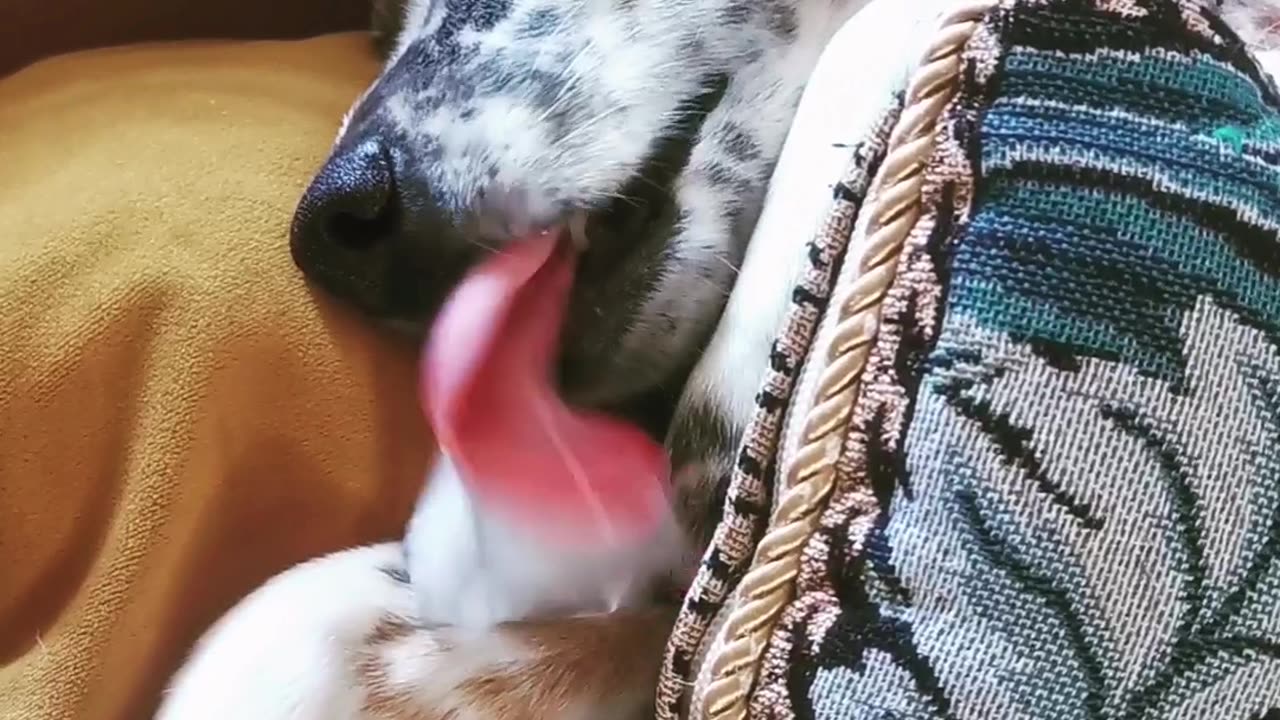 How He Beats the Heat