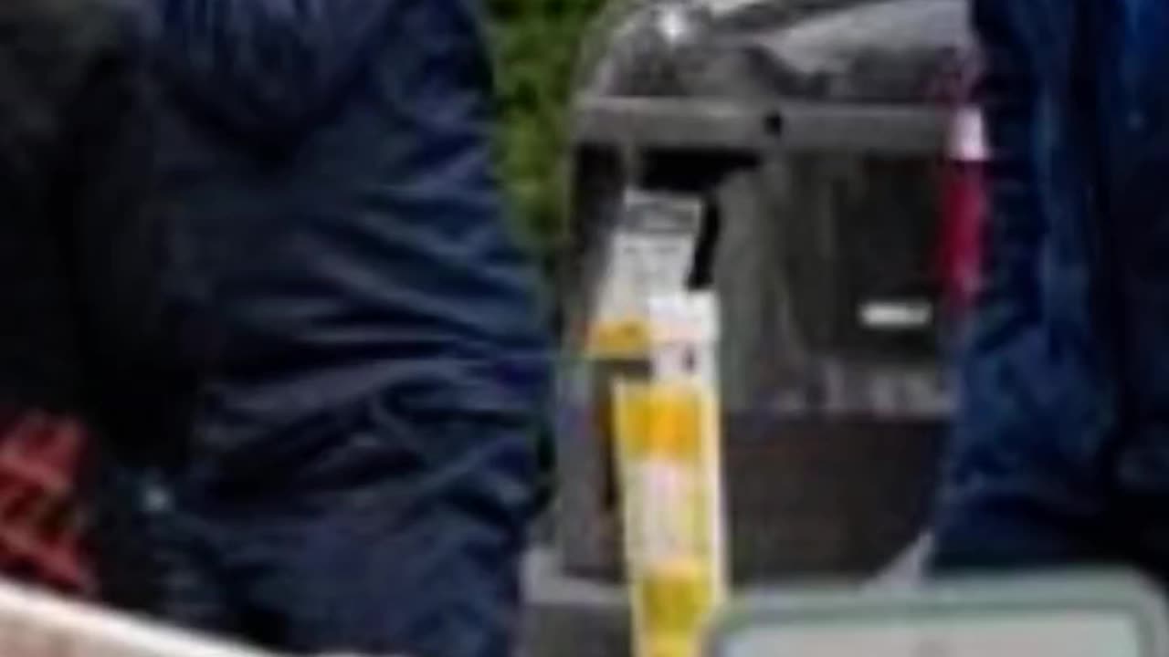 GUN LAWS IN ACTION - VOL. 647: THE MURDER OF AMISH JESSICA