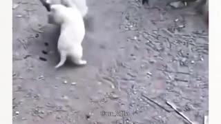 😂🤝 You Won't Believe Their First Meeting! They Finally Met | FunFM