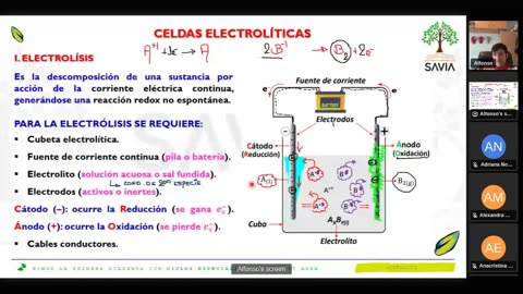 SAVIA SEMIANUAL 2024 | Semana 13 | Química S2