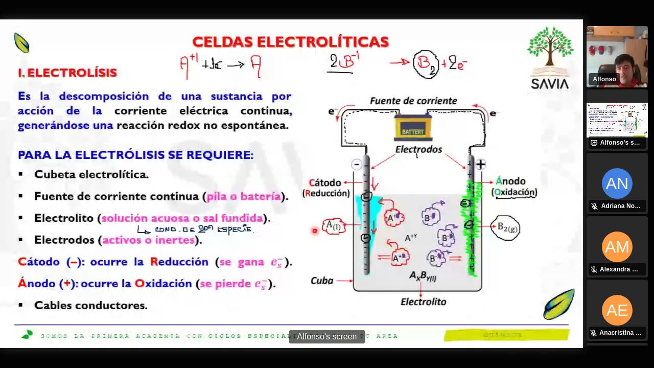 SAVIA SEMIANUAL 2024 | Semana 13 | Química S2
