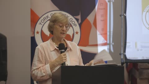 Cybersecurity expert on why we can't use Electronic Voting Systems