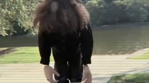 🎵 From Broken Leg to Musical Collaboration 🎵