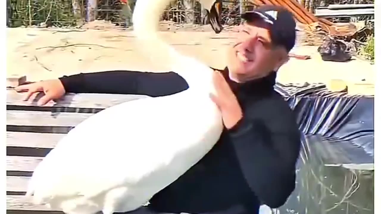 Kindness, rescue a bird