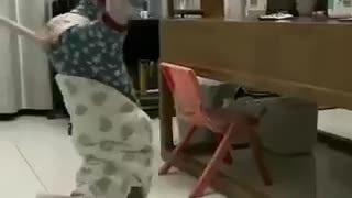 Cats to music too cute