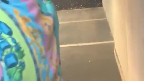Why