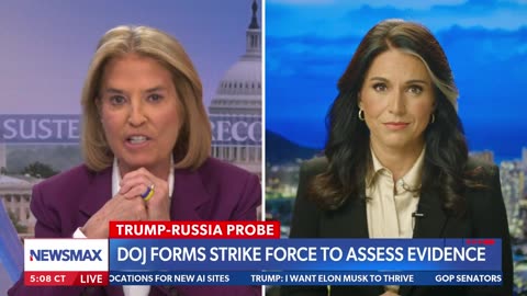 "This was a treasonous conspiracy to undermine the legitimacy of President Trump."