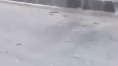 Druze family being marched to their assassination