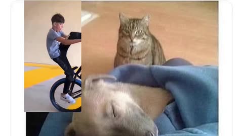 Huh