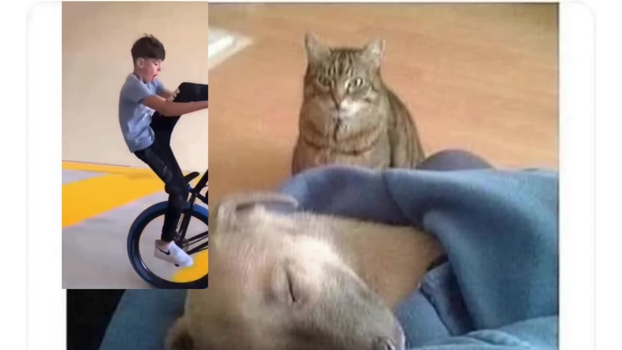 Huh