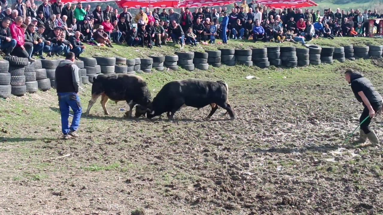 Tumbać Mustafa Vokić vs Mitraljez Novalija Razić