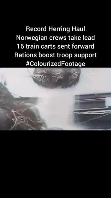 Record Herring Haul-1