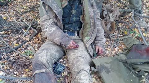 Welcome to Ukraine Europe