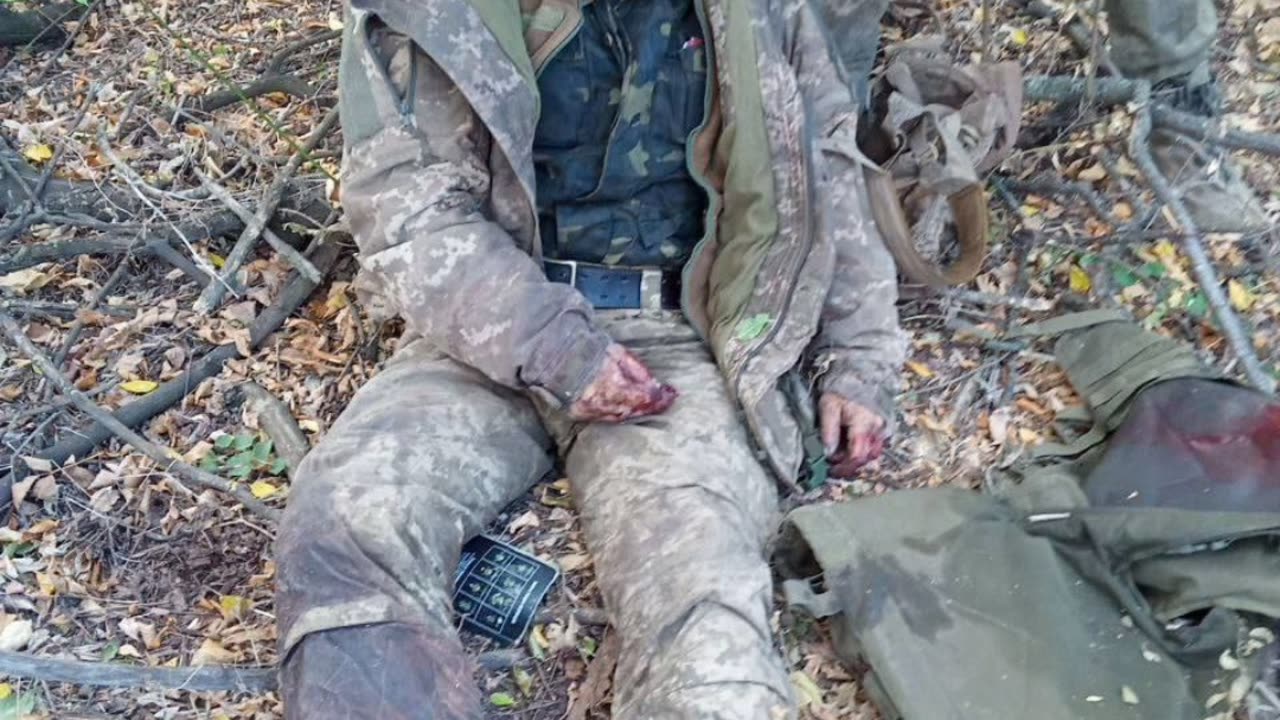 Welcome to Ukraine Europe