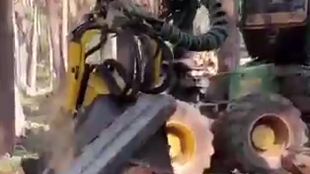 The Shocking Truth About Automatic Tree Harvesting – What They Don’t Want You To Know!