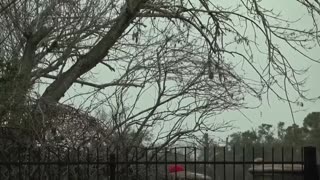 UnstabIe Monster Tries To Meet Our Live Decoy then ATTACKS ME! (Lake Jackson, Texas)