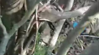 Ukraine war combat footage 5/12/25