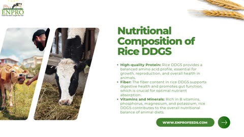 Rice DDGS (Distillers Dried Grains with Solubles)