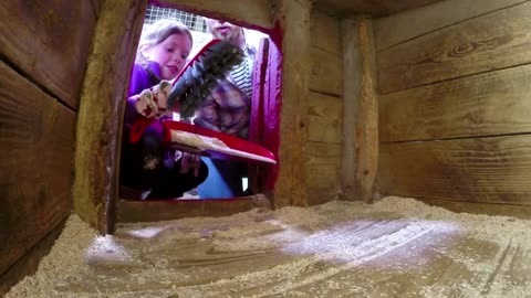 Mi Mascota y Yo - T02E13 - Perro Ovejero