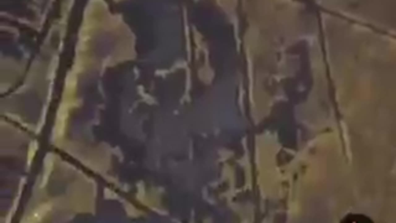 Dams and man made lakes only serve to cover up your true history.