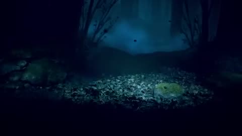 Night mare