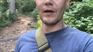 Nice Night For Walk "Shenandoah National Park, VA"