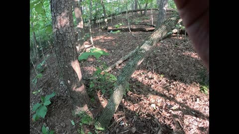 Can this retard make it to the tree before he touches lava Day: 7