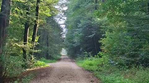 Globalism vs Internationalism