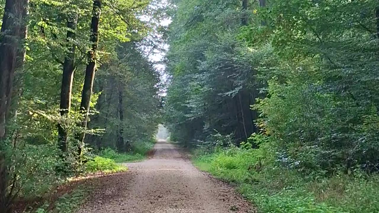 Globalism vs Internationalism