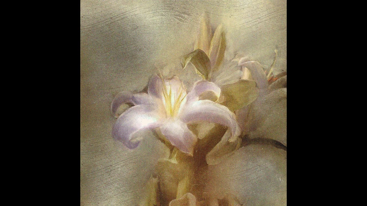 yung kai - flower (SLOWED + REVERB)