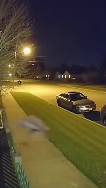Did something just run past #unexplained #securitycamera #cctv