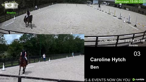 Live Stream & Replays