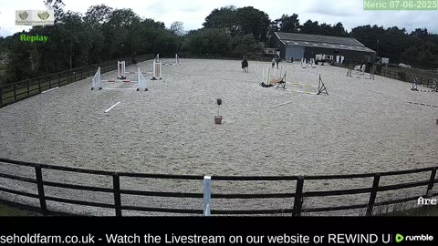 Live Stream & Replays