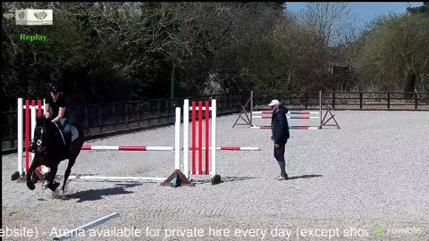 Live Stream & Replays