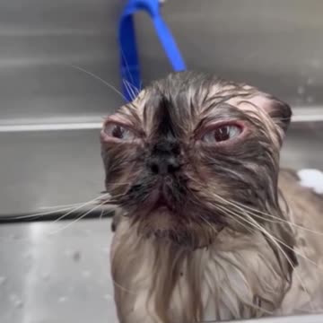 He’s plotting revenge.. 😂