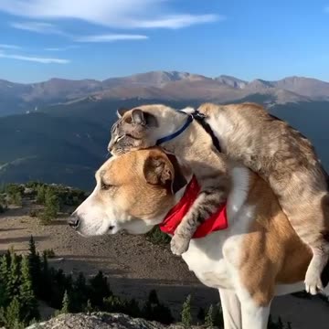 Enjoying the trails using buddy system 😊