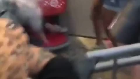 Blacks attack disabled elder