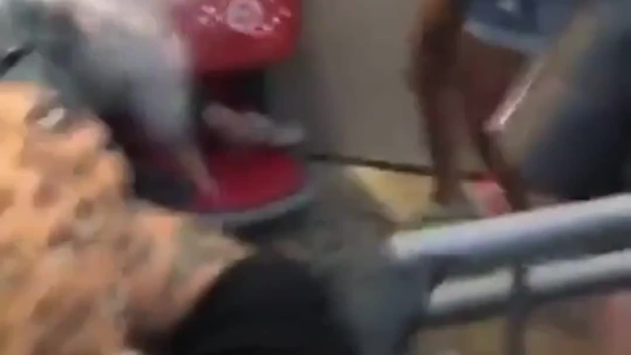 Blacks attack disabled elder