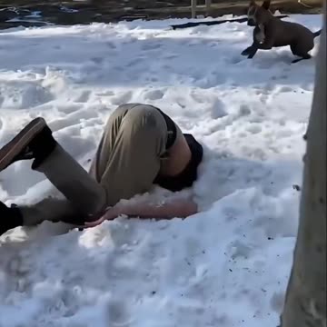 "You Can’t Stop Laughing 🤣 Funny Fails"