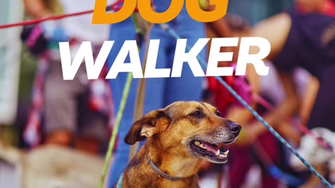 Dog Walker