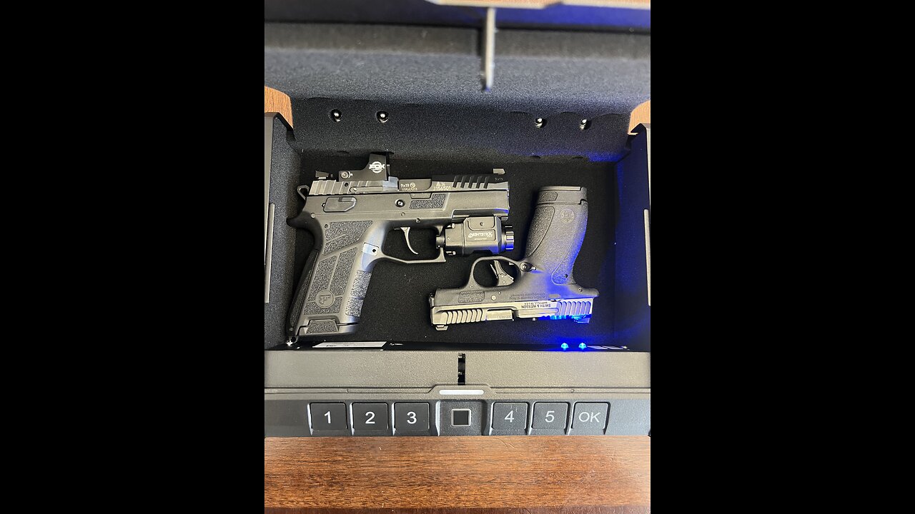 Onnais Iron Pro Biometric Safe: Best budget friendly portable safe?
